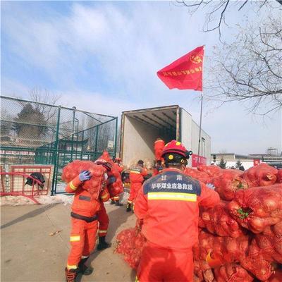 探访距离震中最近的刘集乡河崖村:物资有保障 救灾有秩序